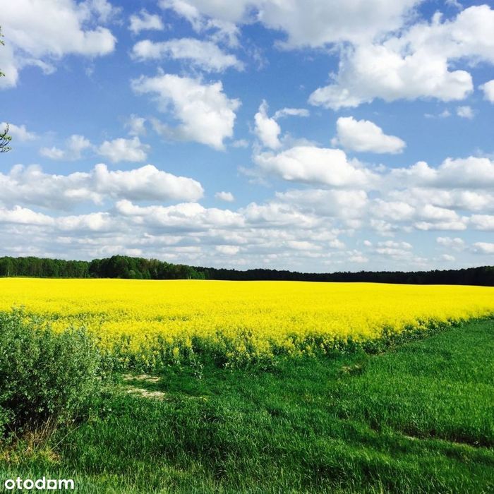 Sprzedam gospodarstwo rolne o pow. 280 ha i 687 ha