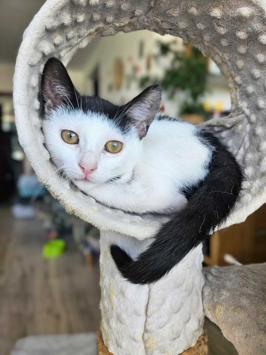 MEWA I BURZA wciąż marzą ...