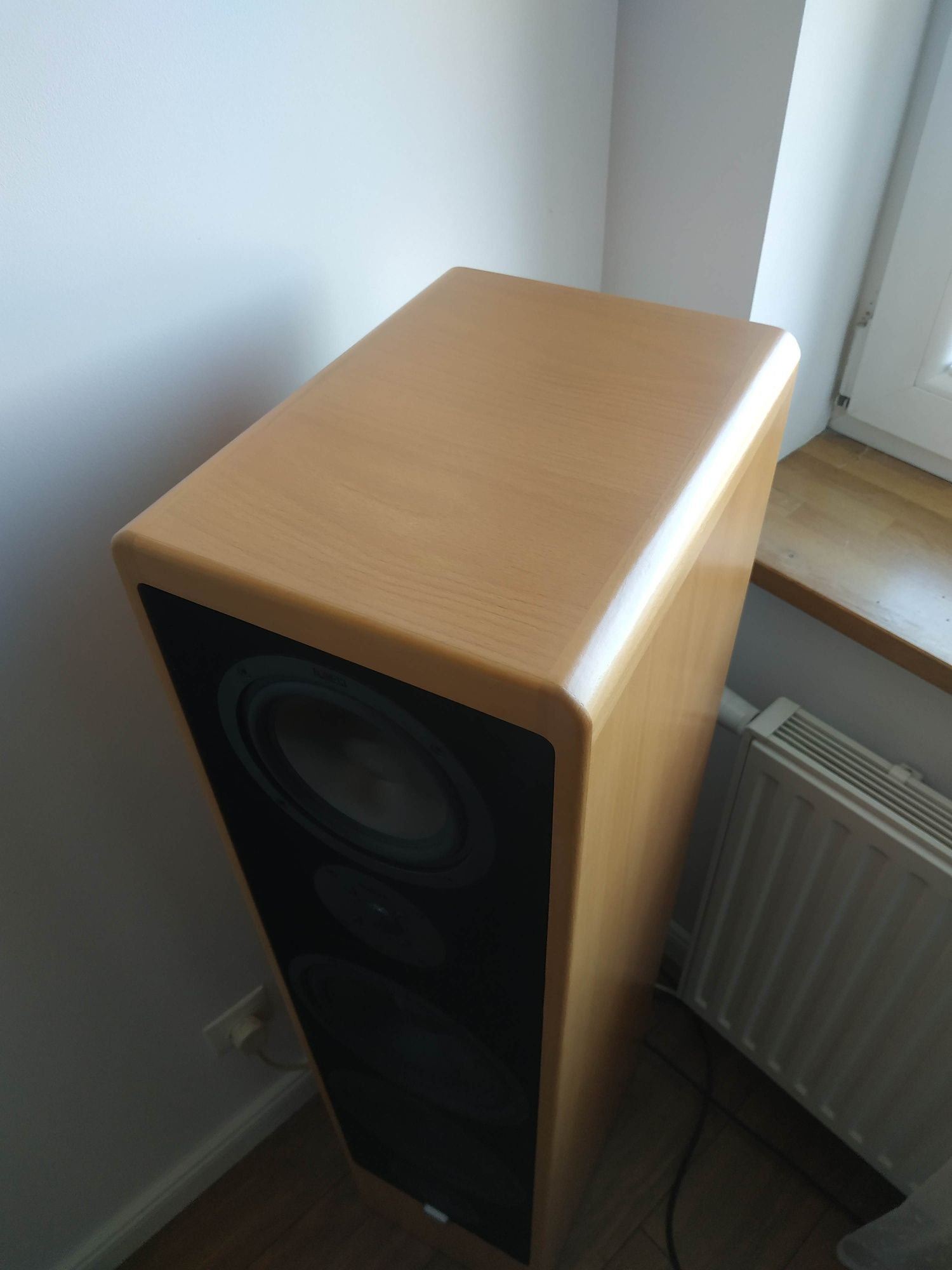 Kolumny podłogowe Canton Ergo RC-A