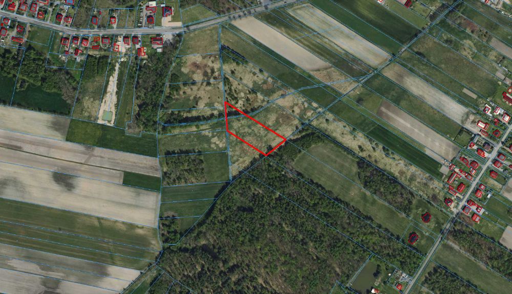 Działka / łąka - Panki