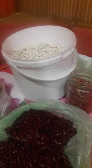 фасоля білий ясьок тичкова, 50грн пів літри,
