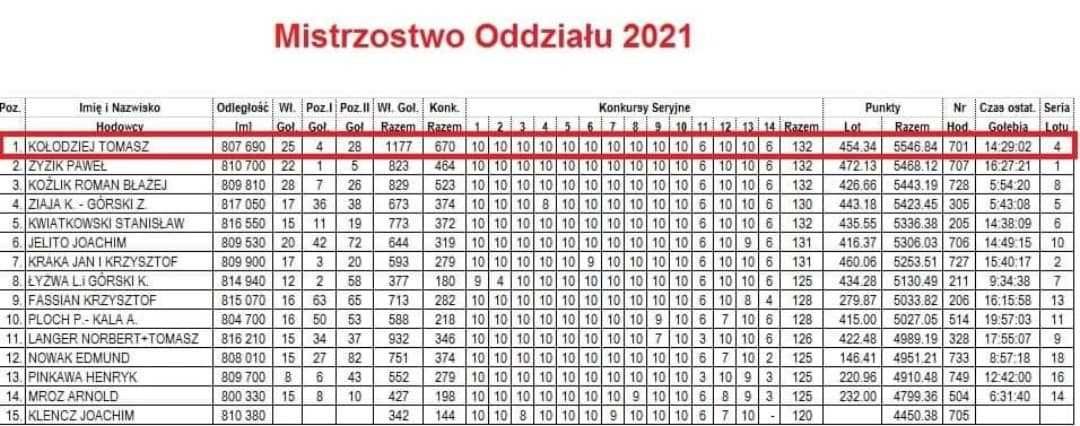 Gołębie pocztowe - młode 2025 od Mistrza