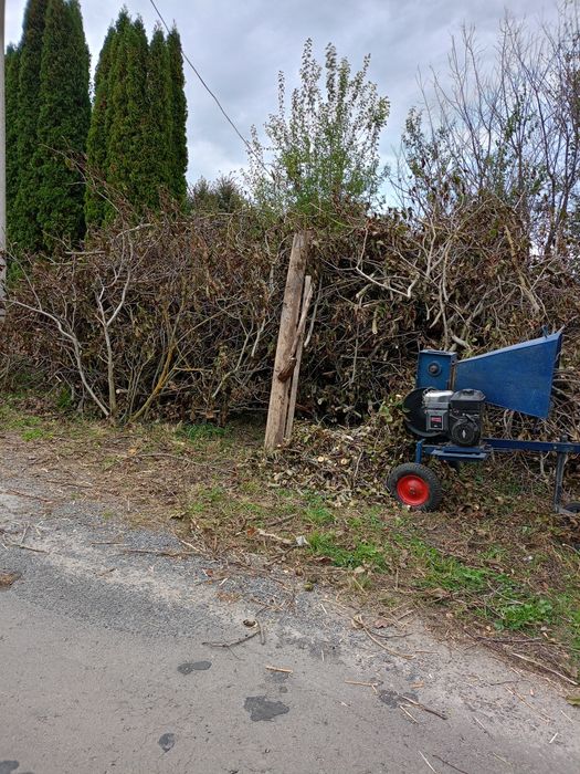 Послуги висоторізом, обрізка дерев та стрижка кущів