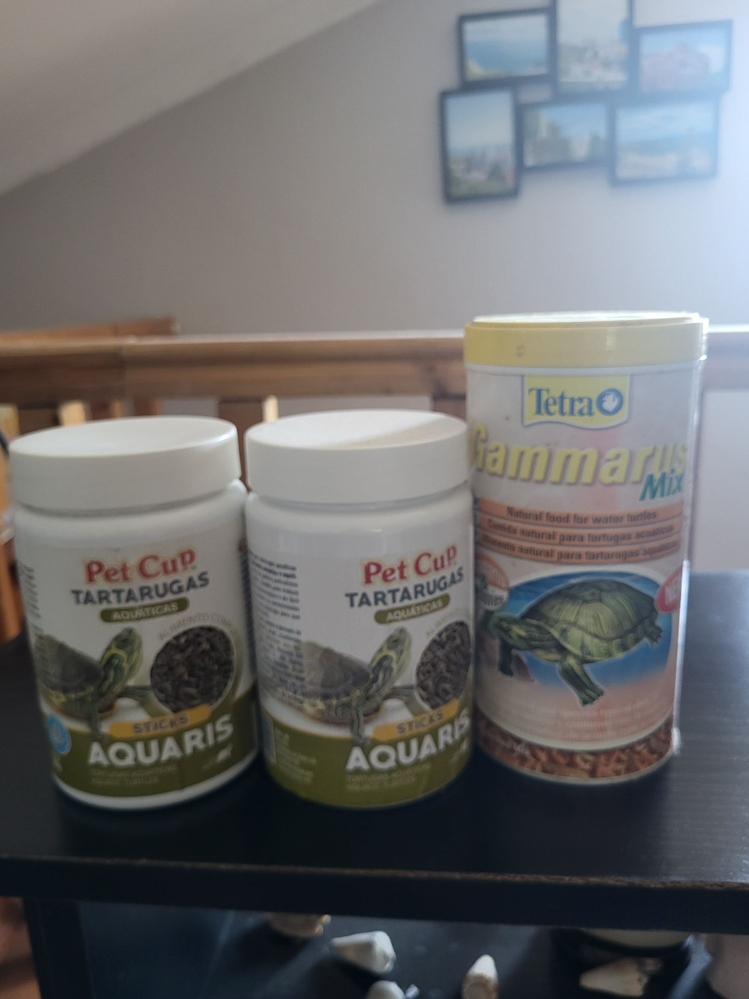 Comida tartaruga