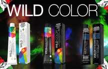 Lote Tinta/Coloração Cabelo - WILD COLOR - Liquidacão