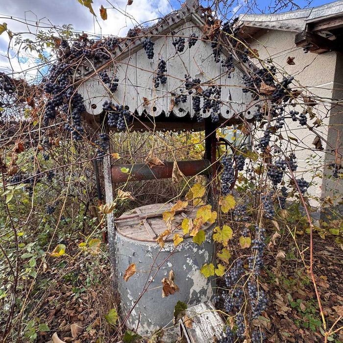 Продаж будинок 85м2у с. Грушка | 35 км до Івано-Франківська | 60сот.