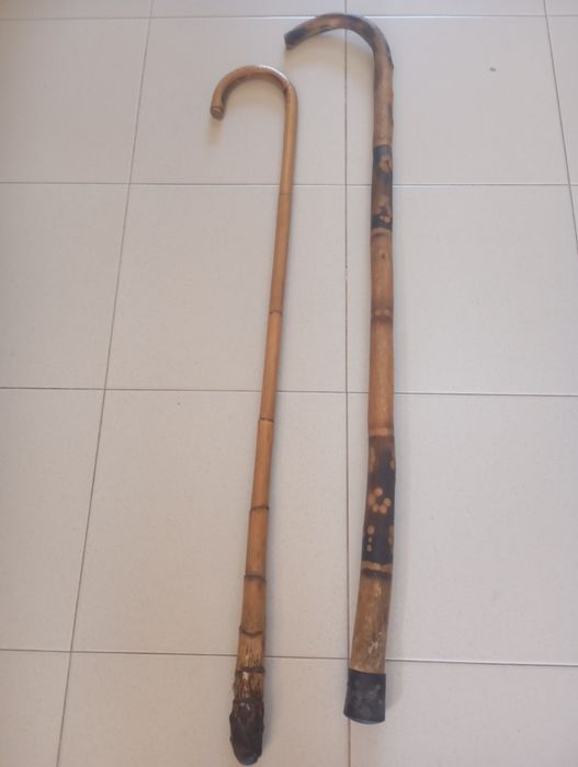 Bengalas  madeira exotica