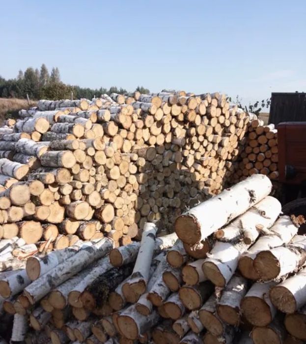 Дрова оптом та в роздріб, колоті та в колодах. (3-55 ск.м)