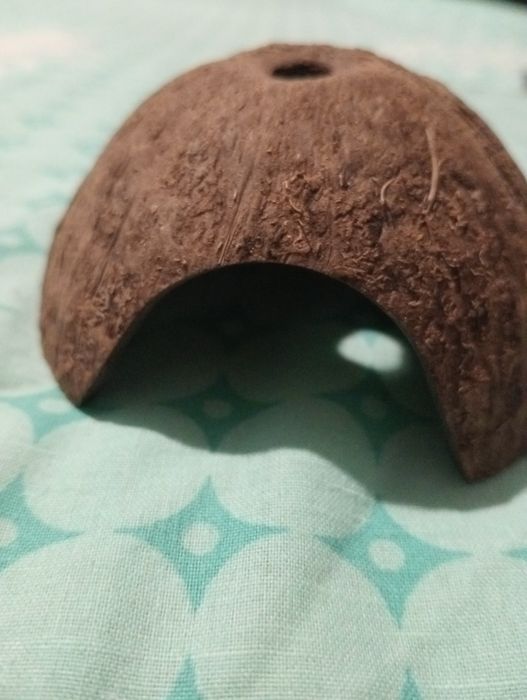 Домік для хом'яка,кокос домік.