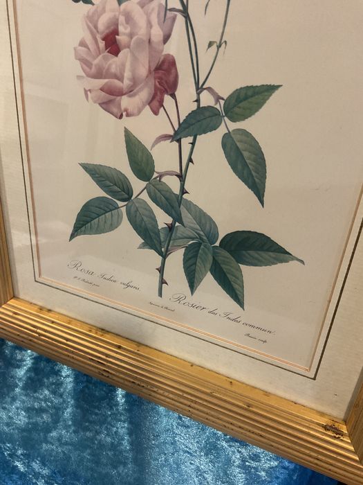 Quadros temas Rosa’s 38x32 valor de unidade