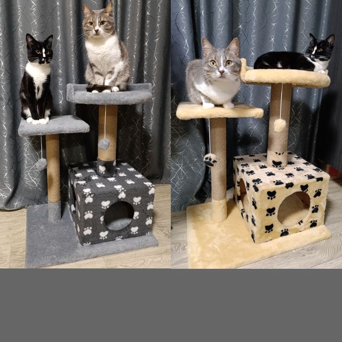 Будинок для кота, кішки , кошеня. ког