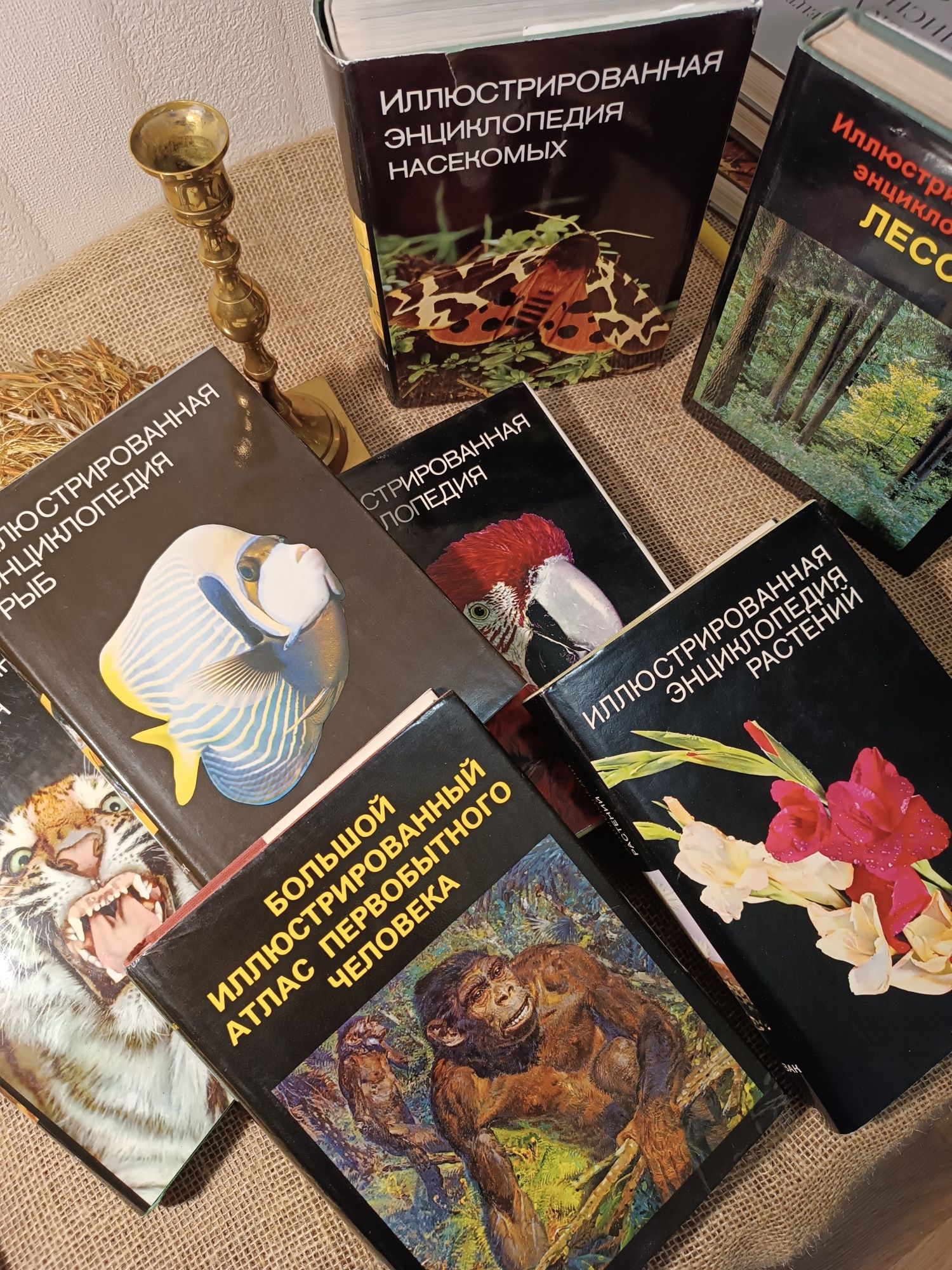 7 книг Энциклопедия растений, животных и т.д.