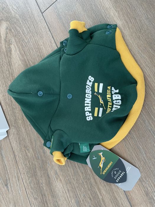Springboks rugby - Casaco cão pequeno