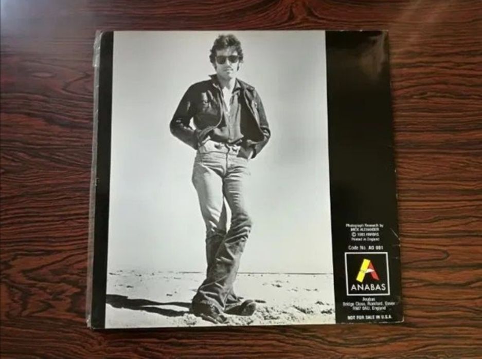 Bruce Springsteen Anabas