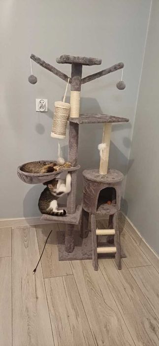 NOWY Drapak Dla Kota Wieża Domek Legowisko 5 Poziomów 138cm