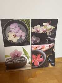 Obraz grafika kwiaty orchidea storczyk obraz na płótnie