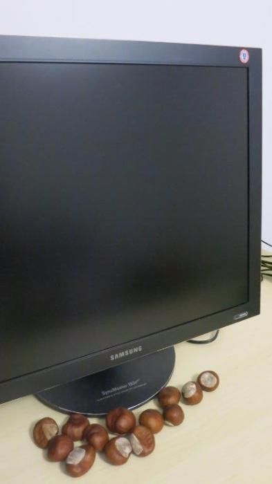 Monitor Samsung SyncMaster 193P Plus