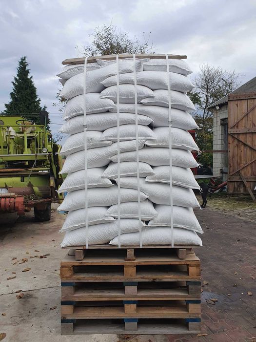 SŁONECZNIK ziarno słonecznika dla ptaków nasiona w łupinie dostawa DHL