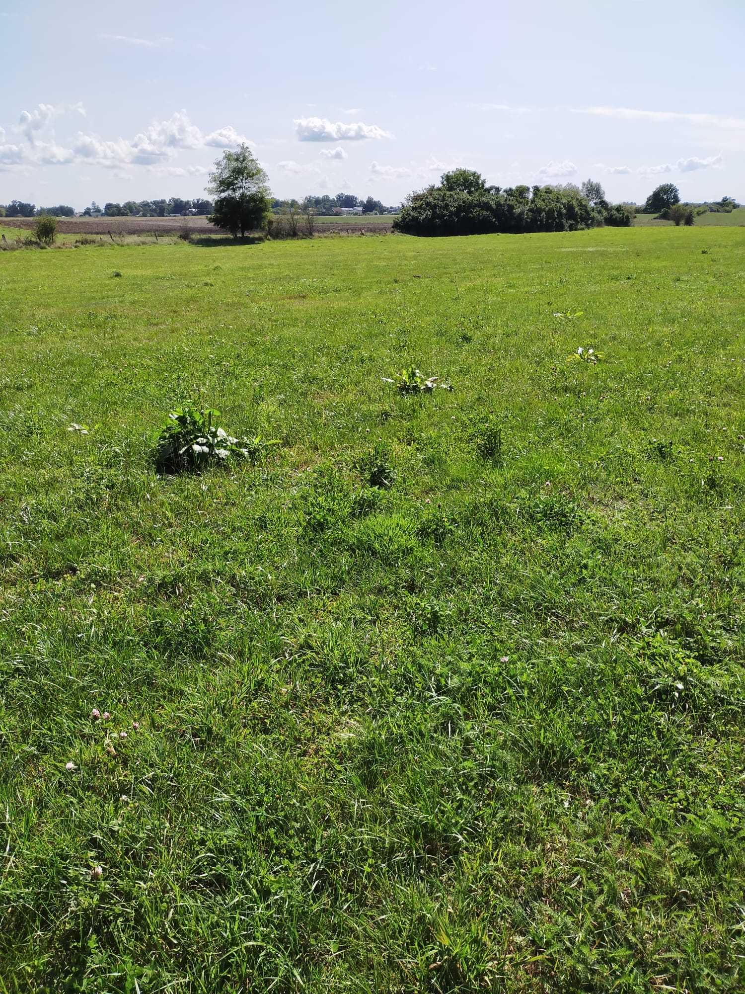 Sprzedam działkę Majdany Wielkie, Mazury