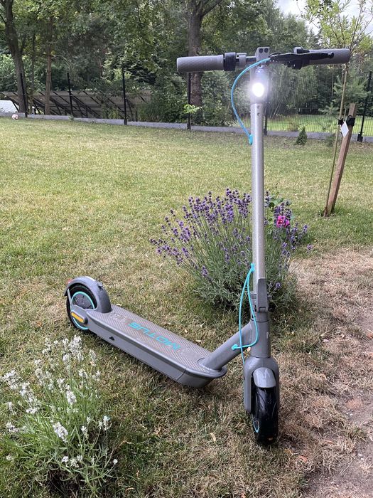 Motus scooty 10 2022