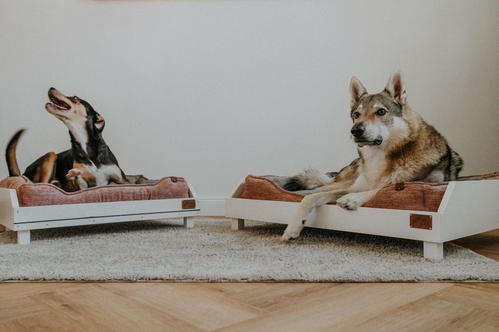 # Drewniane Luksusowe Legowisko Psa Retro Vintage Łóżko Posłanie Kota