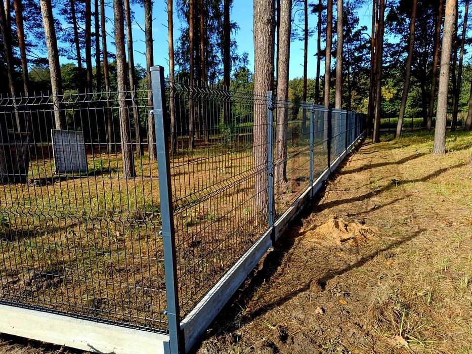 Ogrodzenia Panelowe 3D Marchewka