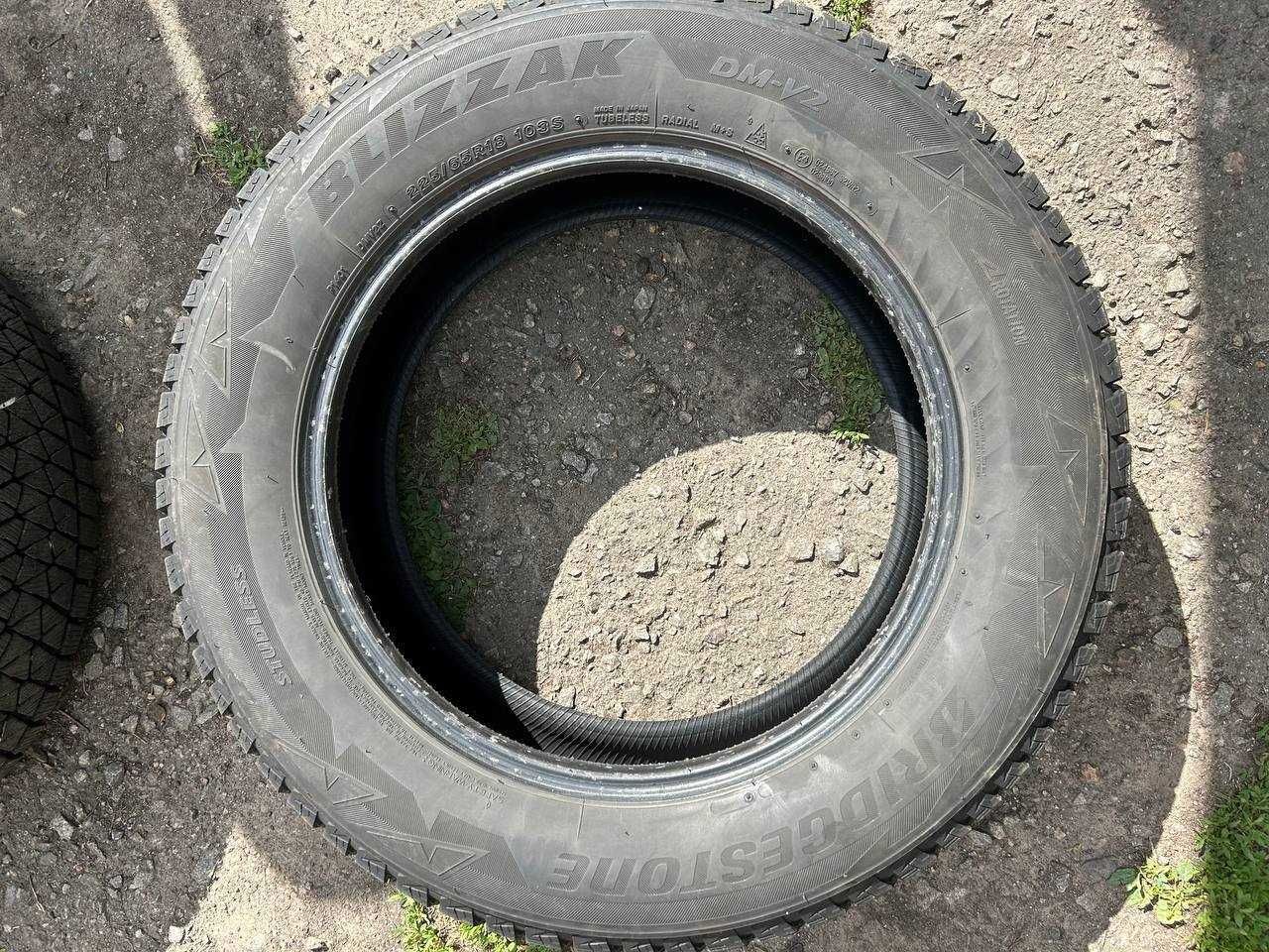 Шини Bridgestone Blizzak DM-V2 225/65 R18