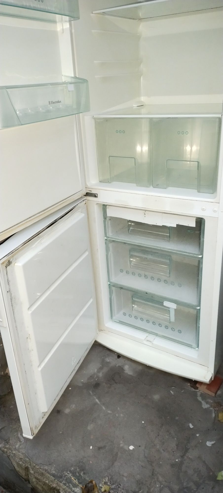 Холодильник Electrolux ERB3645