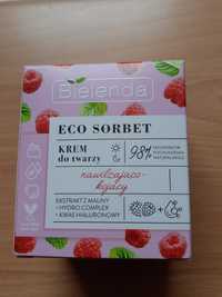 Bielenda Eco sorbet krem do twarzy