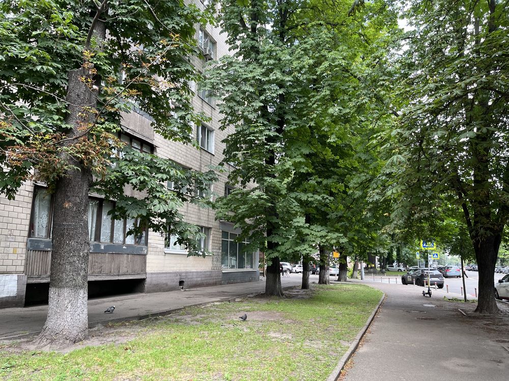 1кімн. 41кв.м.Омеляновича-Павленка  (Суворова) 18/20 .