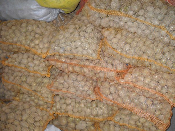 ziemniaki paszowe, odpadowe transport