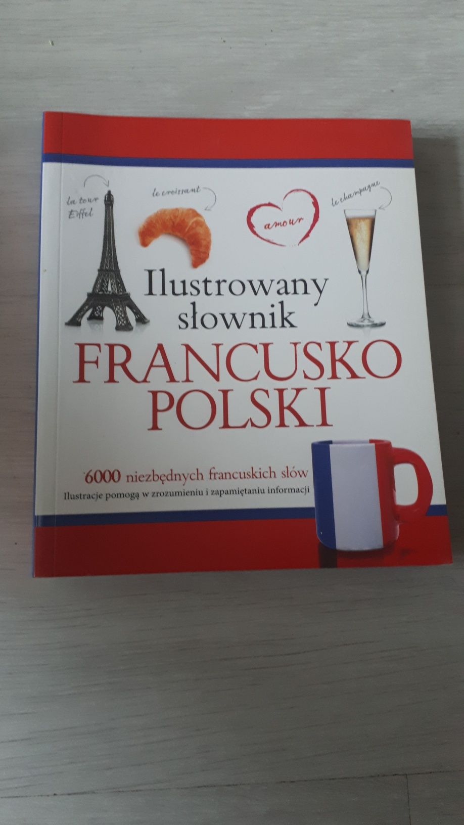 Ilustrowany słownik francusko - polski