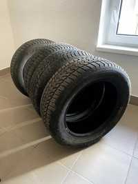 Шины зимние Debica Frigo 205/55 R16 91Н