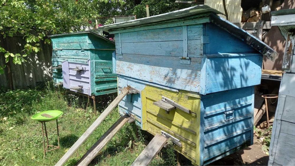Вулик з рамками на дві сімї