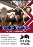 Krowy.Byki.Jałówki.Cielaki