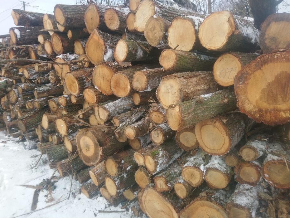 Drewno kominkowe DĄB drzewo opałowe-na palecie - transport HDS