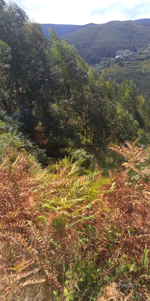 A 2kms dos Passadiços DO PAIVA.