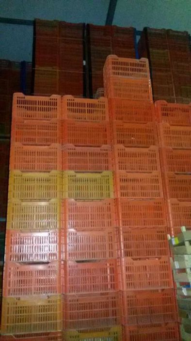 Caixas plásticas