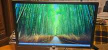 Monitor Dell P2416Db 24" QHD LED IPS