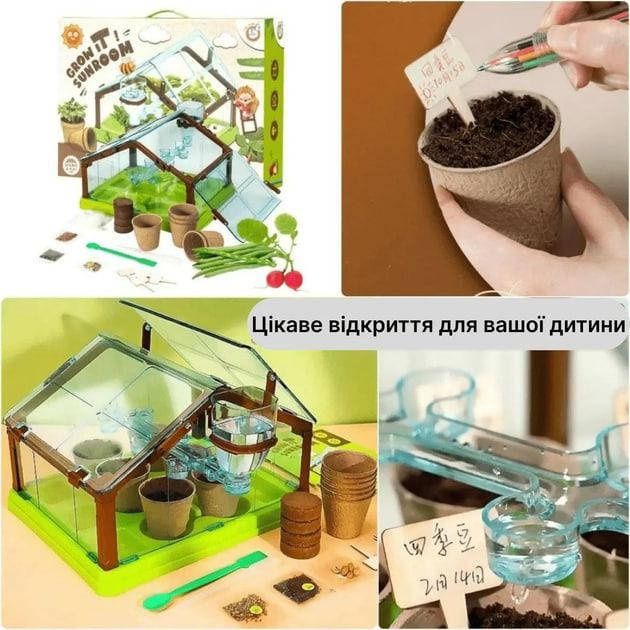 Набір з вирощування рослин, ботанічні експерименти з теплицею 78522 "4