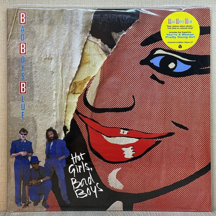 Виниловые пластинки НОВЫЕ ENIGMA, BAD BOYS BLUE, Charli XCX