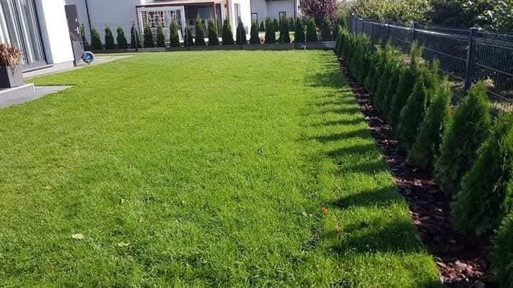 Trawa z rolki z foli lub gruntu od 50 m2.Z ułożeniem lub bez