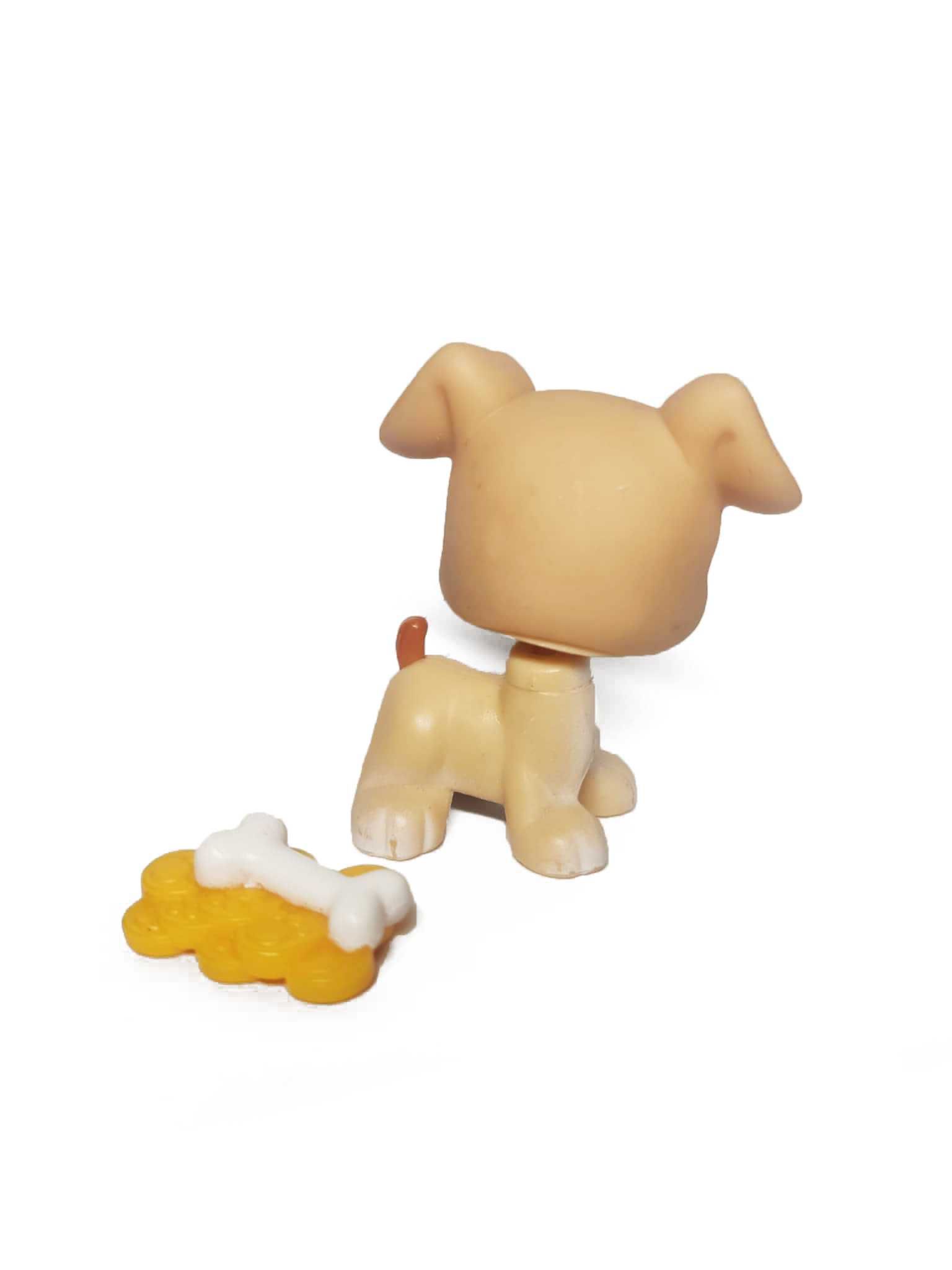 pies bokser LPS  (boxer #235)