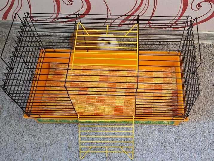 Клітка для гризунів.