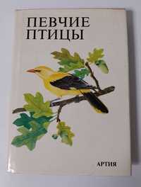 Энциклопедия книга для детей и взрослых Артия Певчие птицы