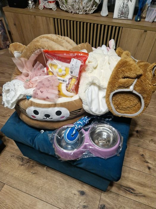 Shih-tzu miniaturka 2xszczepienia legowisko iwyprawka