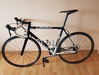 Rower Szosowy Focus Variado Expert