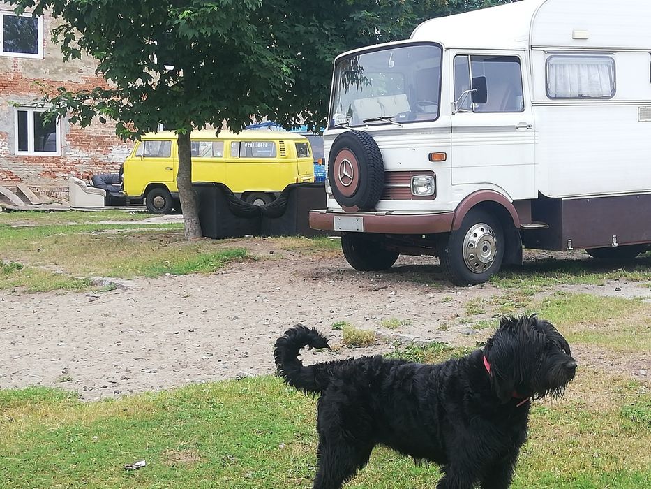 Agroturystyka Stary spichlerz w niemicy