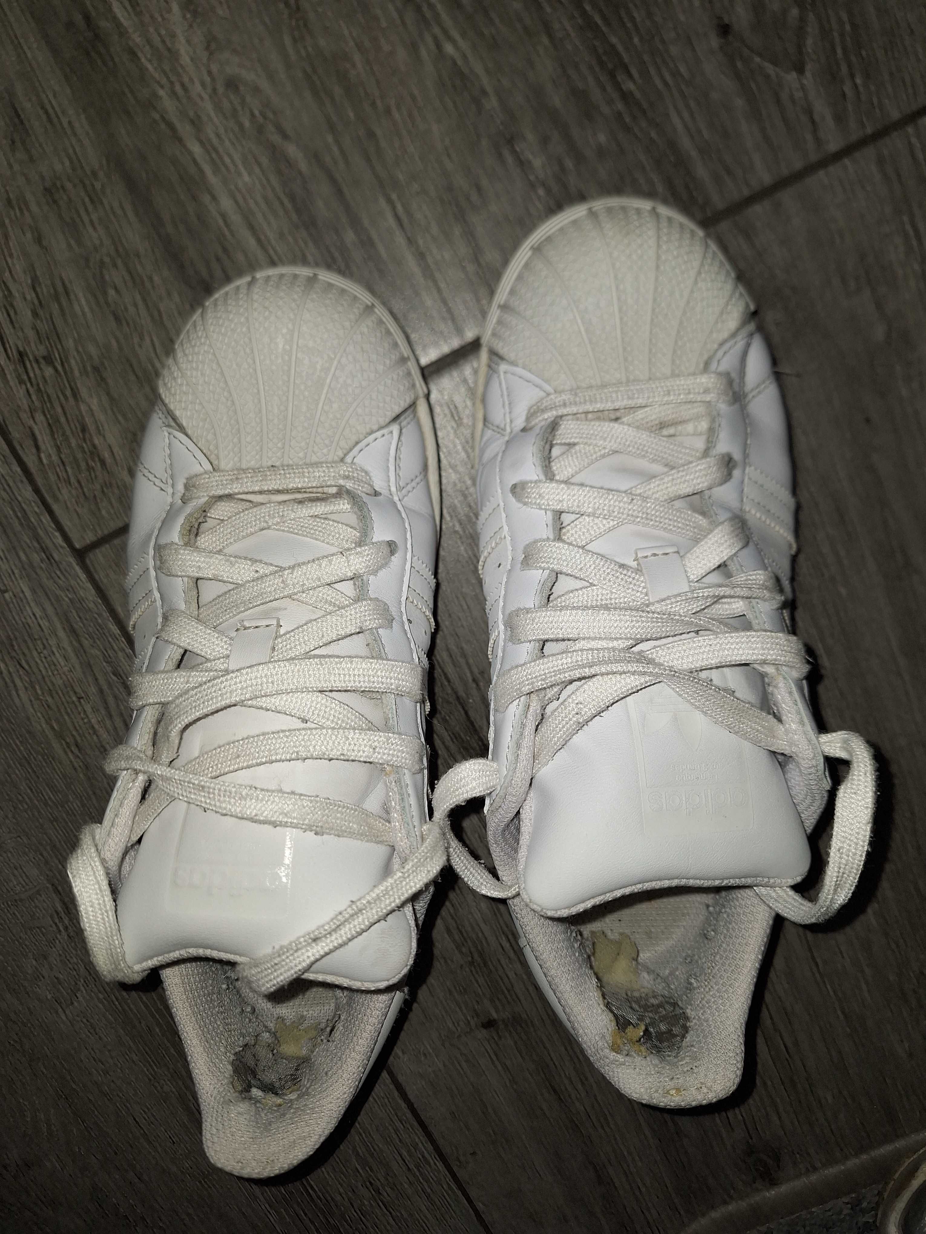 Adidas 36 superstar białe