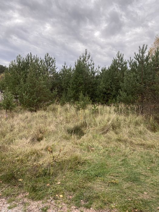 Ділянка Іванівка поворот до будинку престарілих